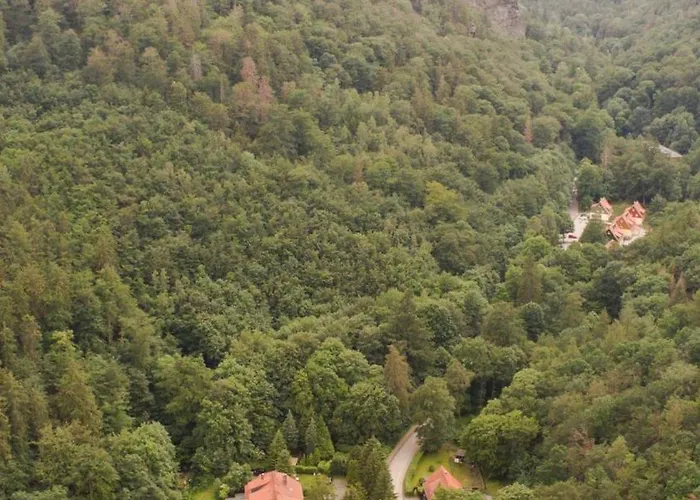 Prázdninový dům Ferienhaeuser Am Brocken, 80 Qm 3 Schlafzimmer *